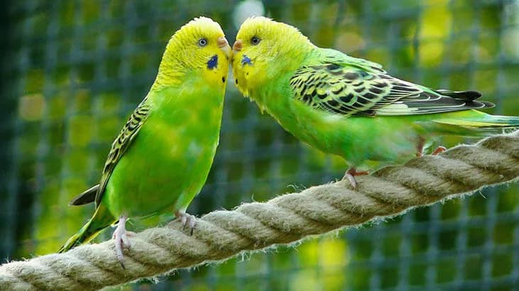 Dostlarla Yapılan Muhabbetin Tadı Bambaşkadır Dostlarla Yapılan Muhabbetin Tadı Bambaşkadır